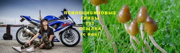 ALPHA PVP Пестово