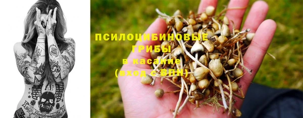 спиды Переславль-Залесский