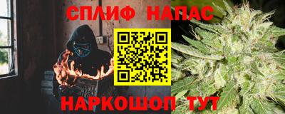 шишки Абакан
