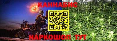 шишки Абакан