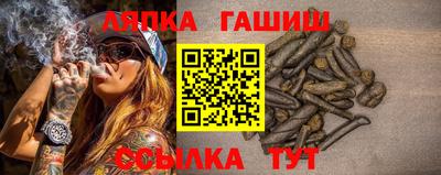 шишки Абакан