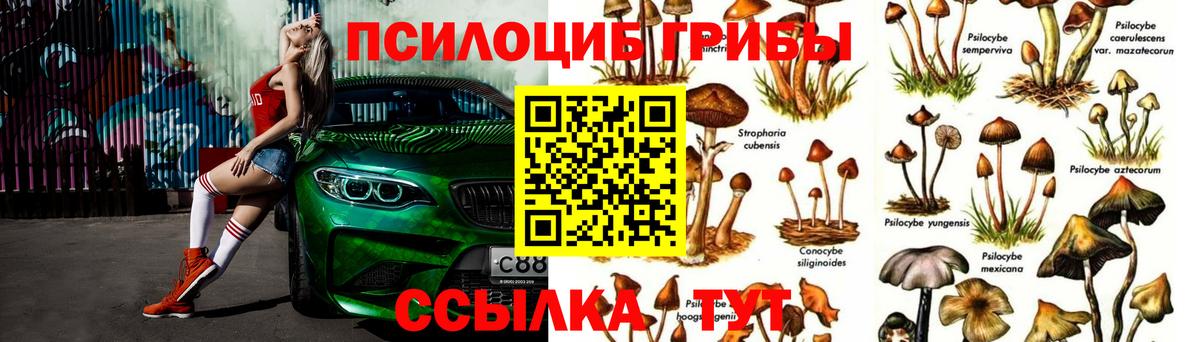Псилоцибиновые грибы Magic Shrooms  Галлюциногенные грибы Psilocybe  Анжеро-Судженск  Вход с VPN 